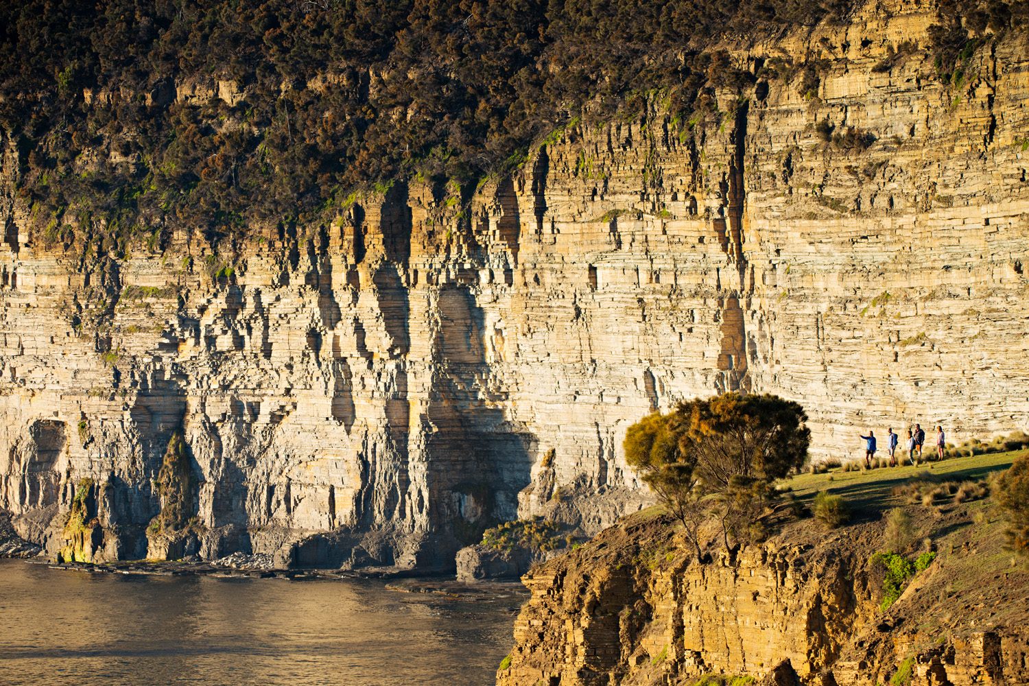 Cliffs at Fossil Bay. The Maria Island Walk